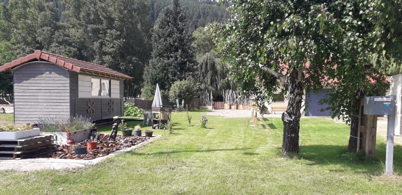 Apartment Gites, Les Jonquilles, Le Sagard Et Les Brimbelles, Nature Et Detente La Houssiere